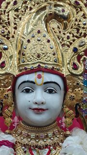 Cardiff Temple Murti Darshan