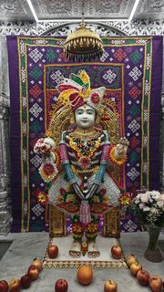 Cardiff Temple Murti Darshan