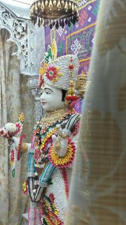 Cardiff Temple Murti Darshan