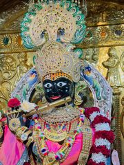 Gadhada Temple Murti Darshan