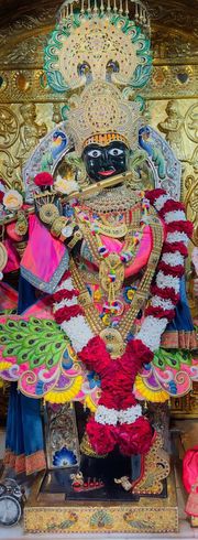 Gadhada Temple Murti Darshan