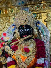 Gadhada Temple Murti Darshan