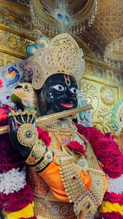 Gadhada Temple Murti Darshan