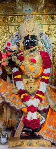 Gadhada Temple Murti Darshan