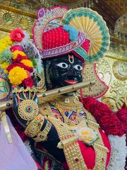 Gadhada Temple Murti Darshan