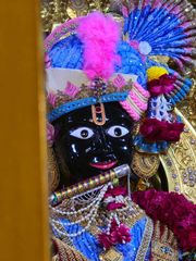 Gadhada Temple Murti Darshan