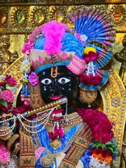 Gadhada Temple Murti Darshan