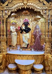 Gadhada Temple Murti Darshan