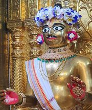 Gadhada Temple Murti Darshan
