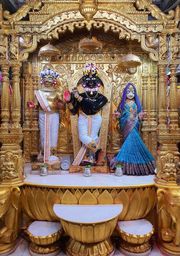 Gadhada Temple Murti Darshan