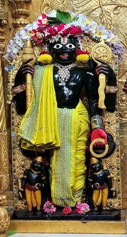 Gadhada Temple Murti Darshan