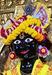 Gadhada Temple Murti Darshan