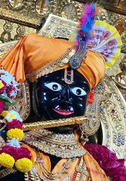 Gadhada Temple Murti Darshan