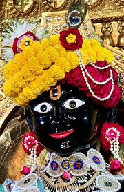 Gadhada Temple Murti Darshan