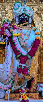 Gadhada Temple Murti Darshan