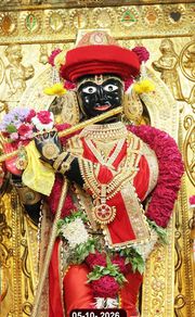 Gadhada Temple Murti Darshan