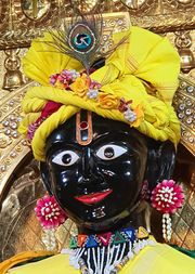 Gadhada Temple Murti Darshan