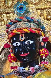 Gadhada Temple Murti Darshan