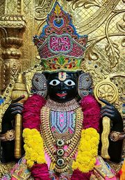 Gadhada Temple Murti Darshan