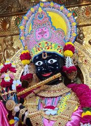 Gadhada Temple Murti Darshan