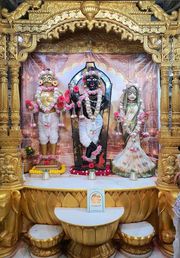 Gadhada Temple Murti Darshan