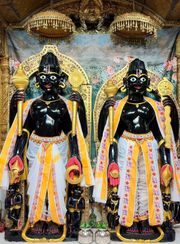 Junagadh Temple Murti Darshan