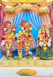 Mandvi Temple Murti Darshan