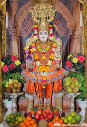 Mandvi Temple Murti Darshan