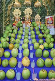 Mandvi Temple Murti Darshan