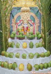 Mandvi Temple Murti Darshan