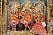 Mandvi Temple Murti Darshan