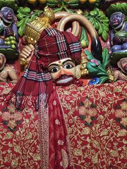 Sarangpur Temple Murti Darshan