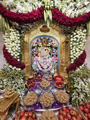 Sarangpur Temple Murti Darshan