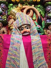 Sarangpur Temple Murti Darshan