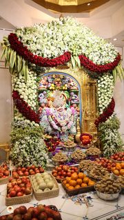 Sarangpur Temple Murti Darshan