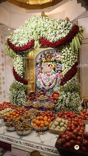 Sarangpur Temple Murti Darshan