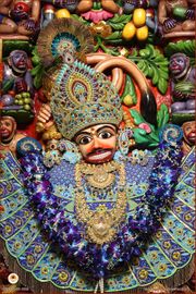 Sarangpur Temple Murti Darshan