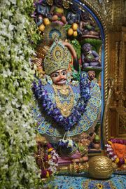 Sarangpur Temple Murti Darshan