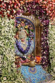 Sarangpur Temple Murti Darshan