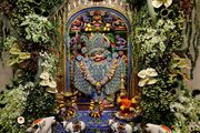 Sarangpur Temple Murti Darshan