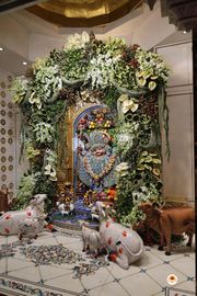 Sarangpur Temple Murti Darshan