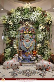 Sarangpur Temple Murti Darshan