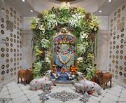 Sarangpur Temple Murti Darshan