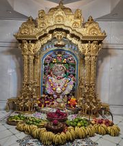 Sarangpur Temple Murti Darshan