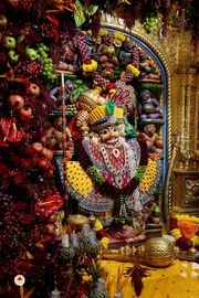Sarangpur Temple Murti Darshan