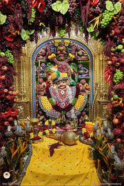 Sarangpur Temple Murti Darshan