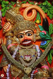 Sarangpur Temple Murti Darshan