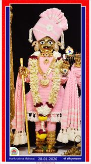 Vadtal Temple Murti Darshan