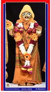 Vadtal Temple Murti Darshan