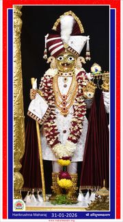 Vadtal Temple Murti Darshan